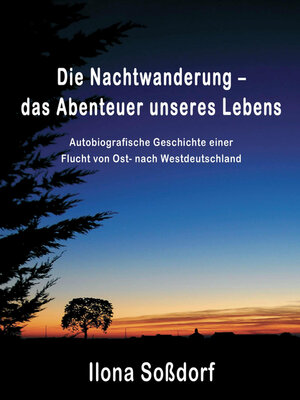cover image of Die Nachtwanderung--das Abenteuer unseres Lebens